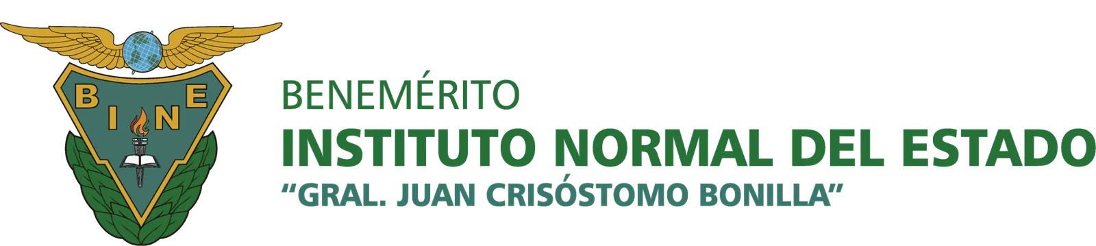 BINE Logo