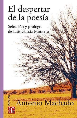 DESPERTAR DE LA POESIA EL